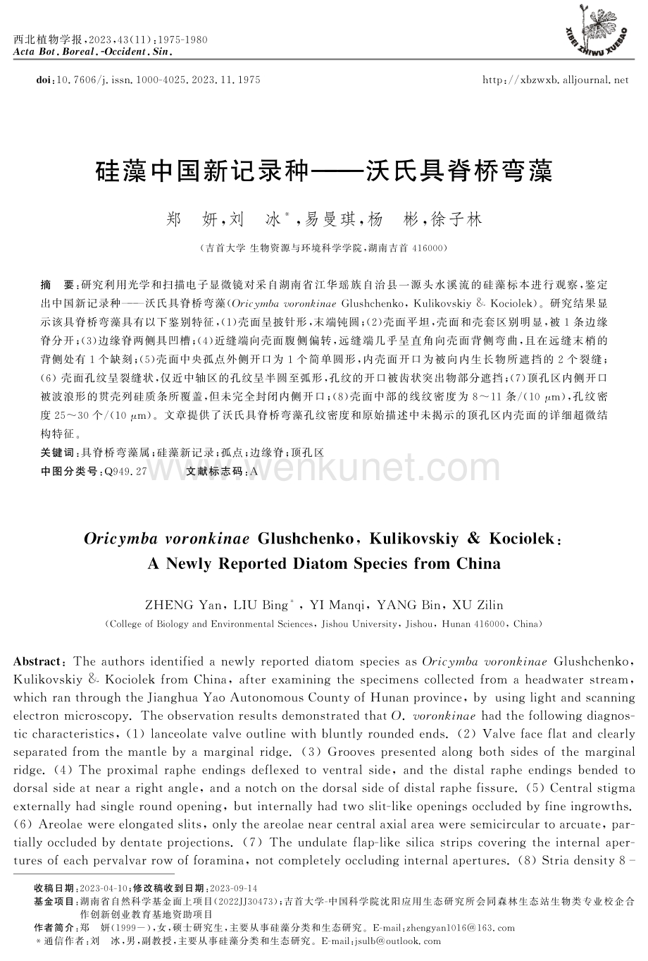 硅藻中国新记录种——沃氏具脊桥弯藻.pdf_第1页