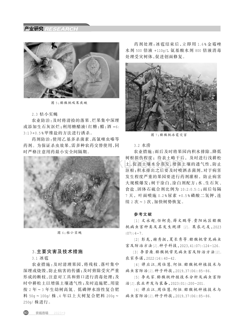 贵阳地区猕猴桃主要病虫害防治及灾后管理技术措施.pdf_第3页
