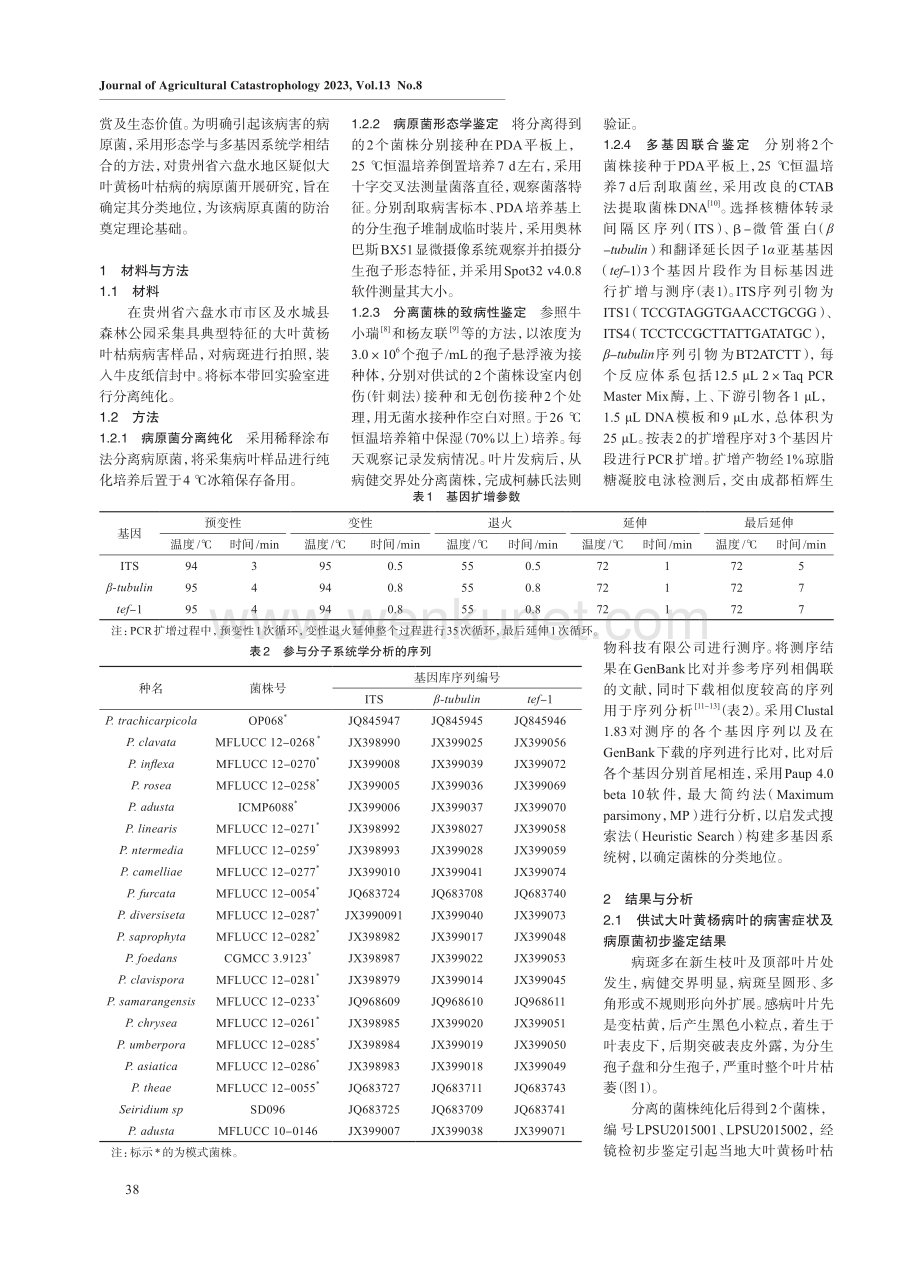 贵州六盘水地区大叶黄杨叶枯病病原菌鉴定.pdf_第2页