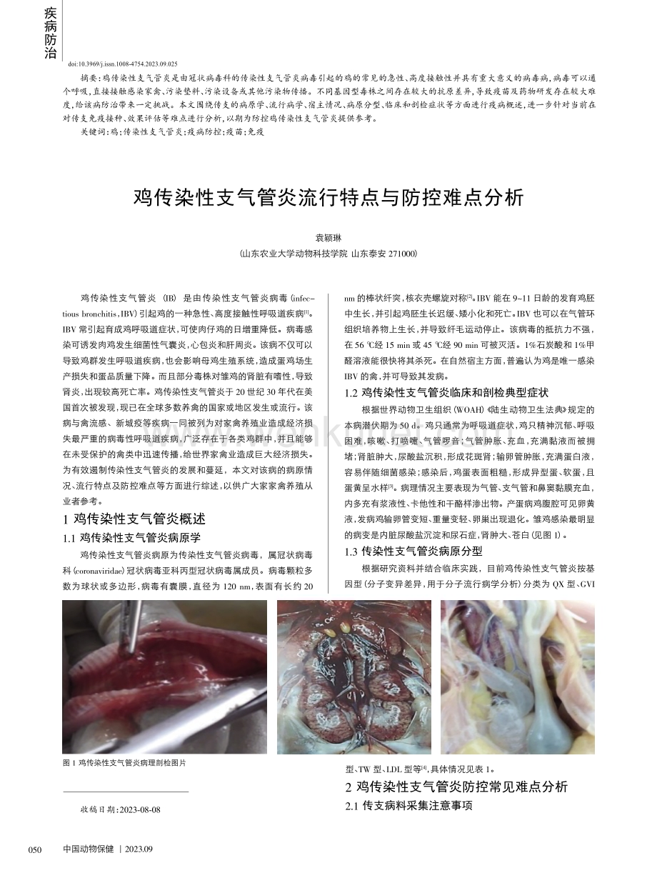 鸡传染性支气管炎流行特点与防控难点分析.pdf_第1页
